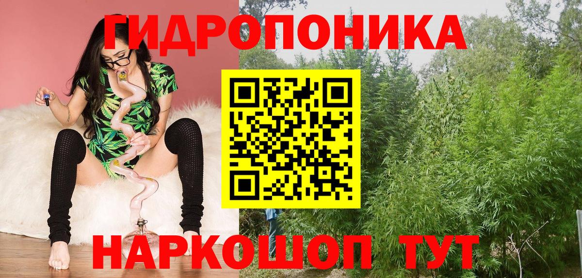 Каннабис ГИДРОПОН  Вход с VPN  Конопля конопля  Конопля THC 21%  Кызыл 